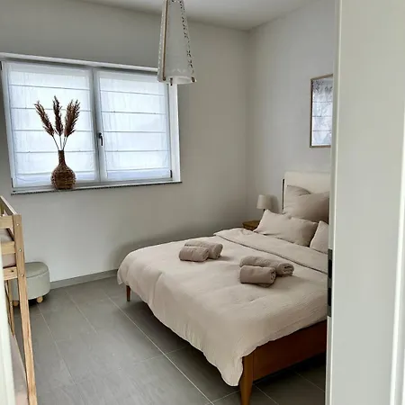Apartment Penthouse In Lahr (Baden-Wurttemberg)